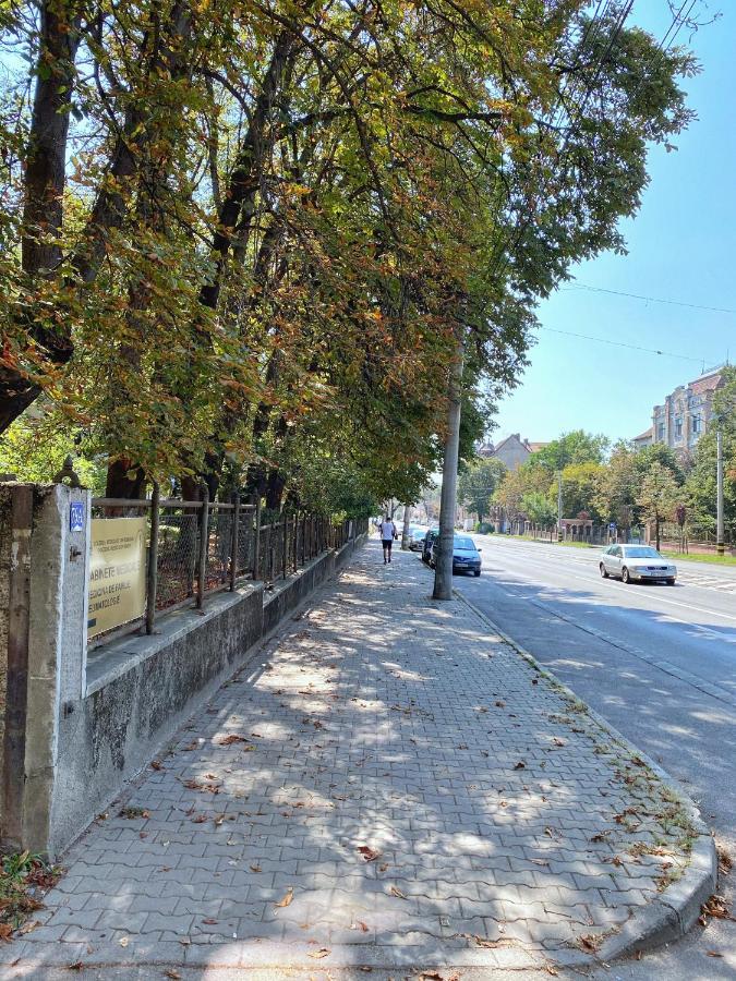 Highland Home - Cozy Apartments Near City Center Oradea Buitenkant foto